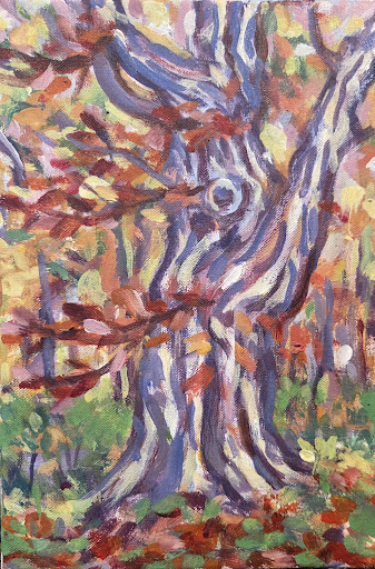 Oil Norwegian Maple after the rain